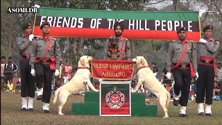 #assamrifles #dog drill || Indian