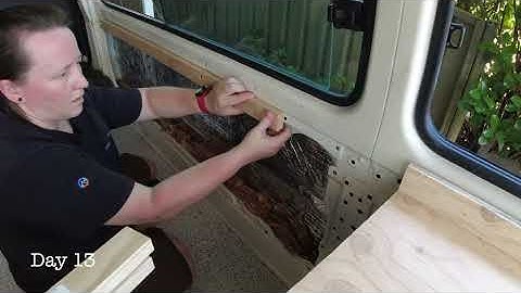 Watch Us Turn a Minibus Into a Cozy Camper in 25 Days!