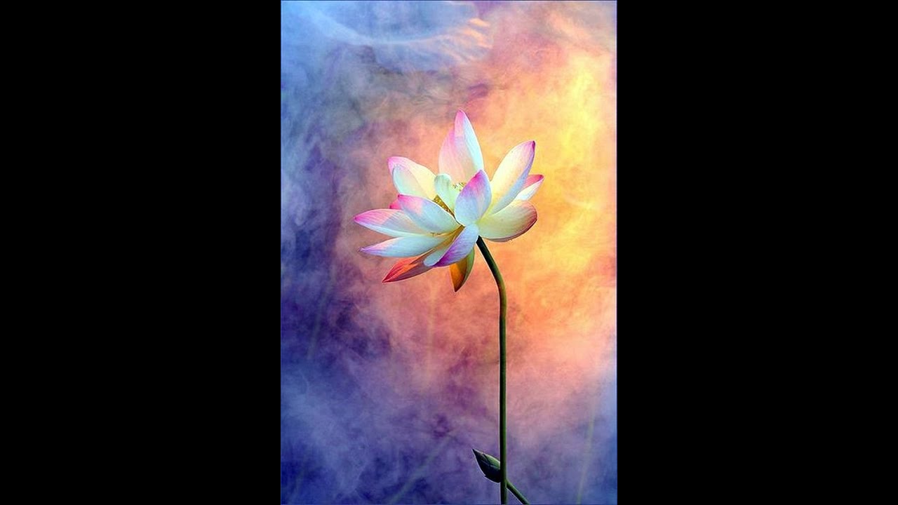 Школа Isais. Энергетические преобразования тела женщины в течение жизни_ 2 часть.