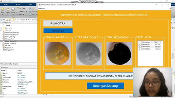 Implementasi Algoritma K-NN pada Kematangan Buah Jeruk (Skripsi Nadia 218510100)