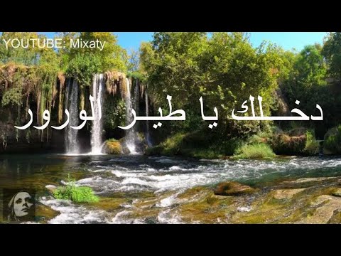فيروزيات الصباح دخلك يا طير الورور       