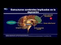 NEUROBIOLOGÍA DE LA DEPRESIÓN