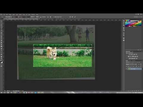 Cách crop hình | HPphotoshop.com