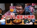 アニマル撮影な晩酌【飯動画】【飯テロ】【酒動画】