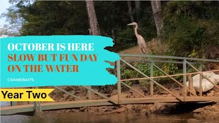 Lake Hartwell Kayak Bass Fishing - Brown Road Boat Ramp - Fall Bass Fishing