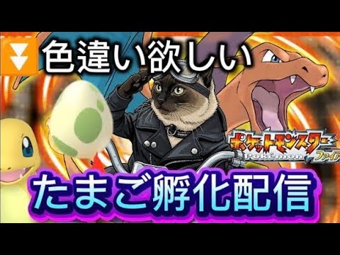 初見さん歓迎【ゲーム実況】ポケモンPokemonヒトカゲ色違いたまご孵化厳選配信