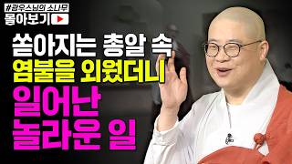 전쟁 중.. 죽기 직전 위기 쏟아지는 총알 속 관세음보살을 간절히 불렀더니 일어난 일 [초심으로 돌아가는 광우스님의 소나무 시즌3 몰아보기]