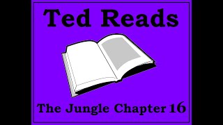 The Jungle Upton Sinclair Chapter 16
