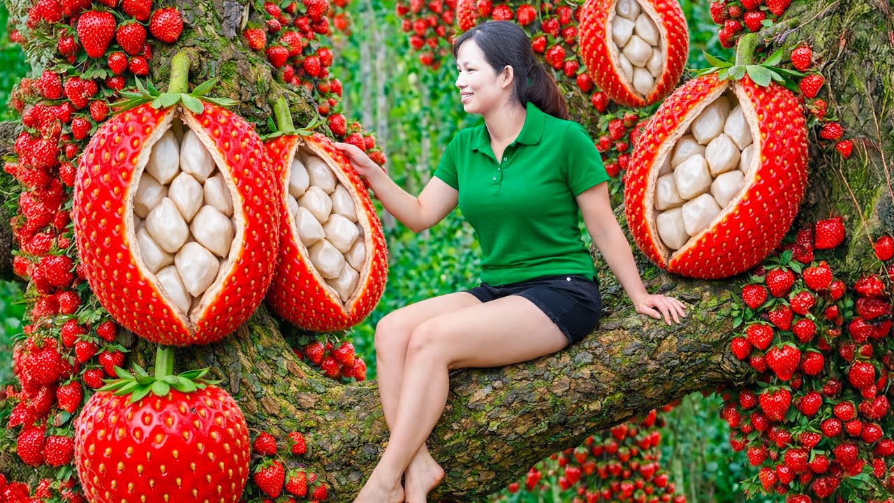 Harvesting RARE GIANT Juicy Strawberries | Stuffed Strawberry Pork – The Most Unique Village Dish