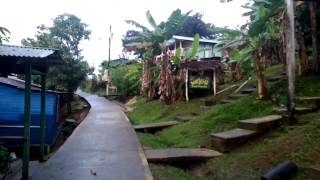 Morning walk in Old Bank, Bastimentos, Panama