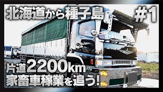 【長距離家畜車輸送完全密着#1】ベコ引き入れて北海道横断！