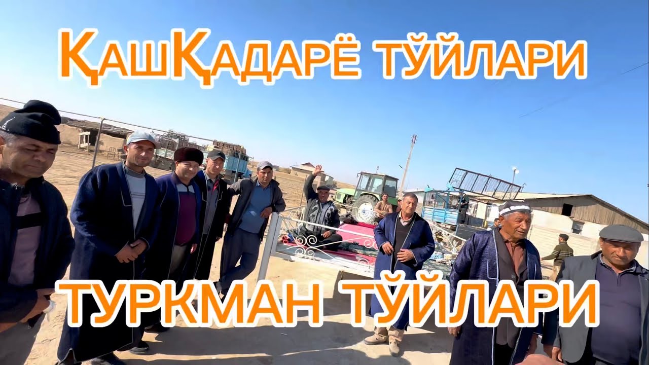 ҚАШҚАДАРЁ ТУРКМАНЛАРИ ҚАНДАЙ ТЎЙ ҚИЛАДИ?