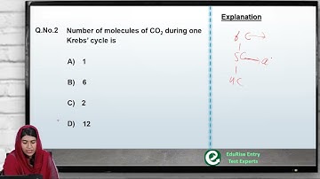 Q2 Bioenergetics MDCAT Biology MDCAT Preparation 2022 Discussion | NMDCAT Preparation 2022