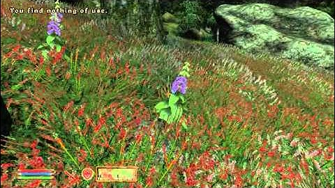 Elder scrolls IV : Oblivion walkthrough part 56 - The beautiful wild