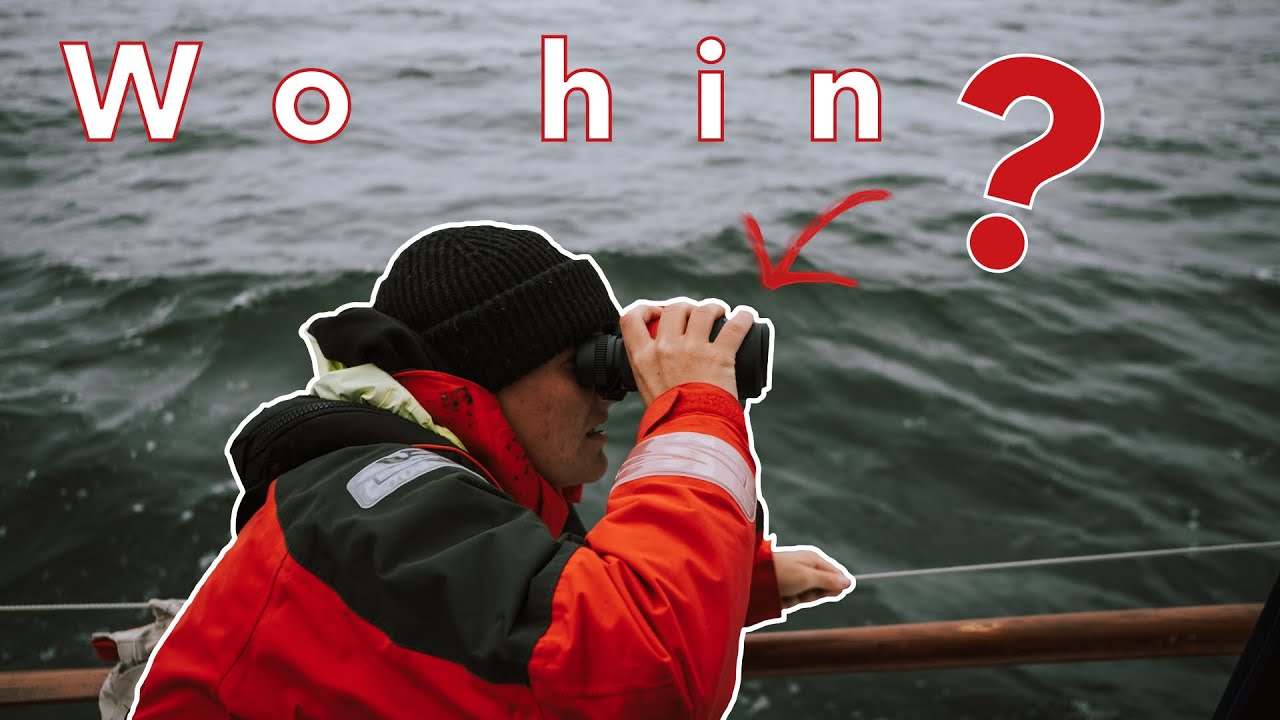 Drei Mädels und kein Plan wo es lang geht | neues Crewmitglied | annaundmalin segeln #95