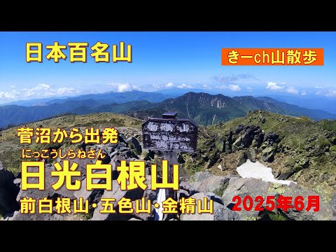 関東最高峰【日光白根山】菅沼から周遊コース!2025年6月