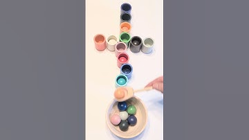 Color Sorting 12 Wooden Balls #satisfying #colorsorting #woodenballs #asmr