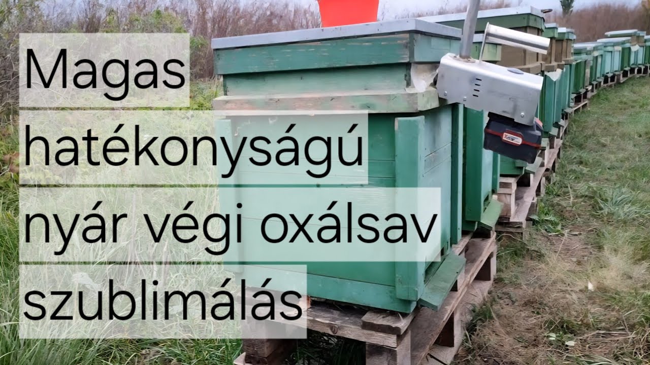 Nyár végi szublimálási praktikák | Maximalizáld a hatékonyságot!