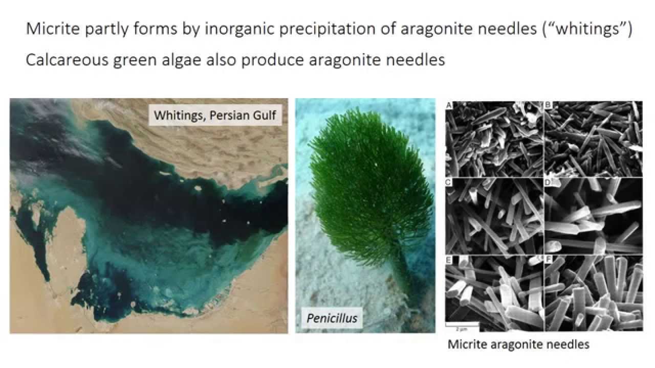 Gallery Detail: 22 Carbonate Processes