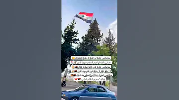 لالي لالي لالي يا علمنا لالي بالعالي يارا بنت سوريا الأسد شااامية يابي 