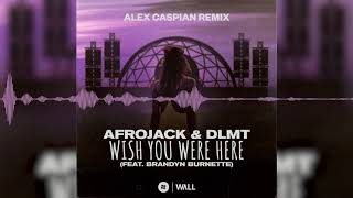 @Afrojack  & DLMT - Wish You Were Here (Alex Caspian Remix)