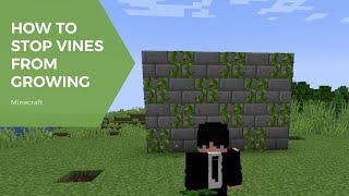 How To Stop Vines From Growing In Minecraft