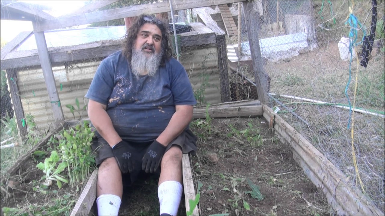 Pulling Weeds May 17 - YouTube