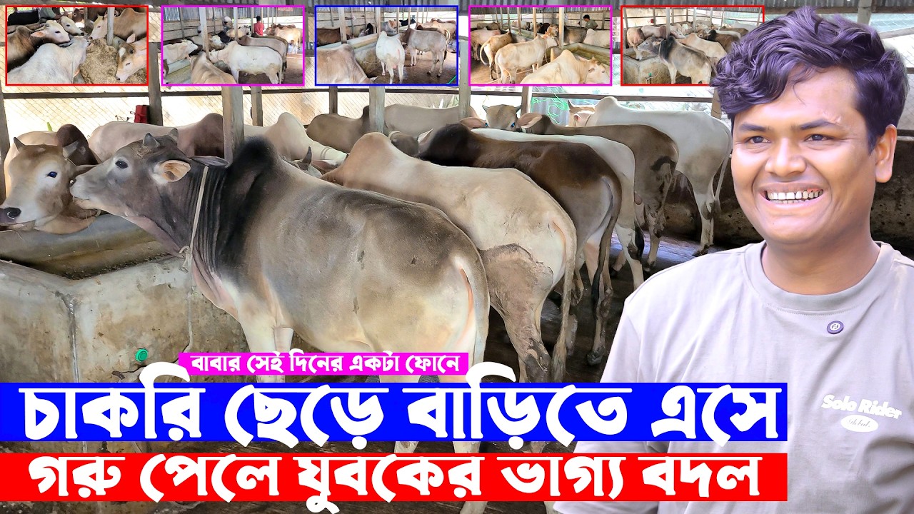 বাবার সেই দিনের একটা ফোনে চাকরি ছেড়ে বাড়িতে এসে গরু পেলে যুবকের ভাগ্য বদল || Soha Agro - সোহা এগ্রো