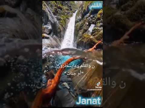 وإنك لعلى خلق عظيم