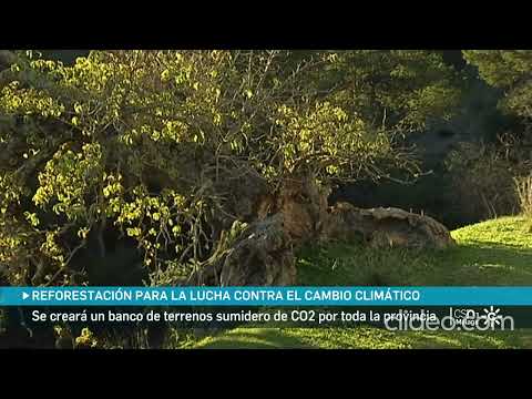 Banco de terrenos municipales. Canal Sur Andalucía