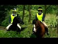 Talking Horses