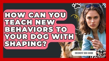 How Can You Teach New Behaviors To Your Dog With Shaping? - Obedient Dog Guide