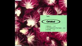 Orbital - The Naked And The Dead