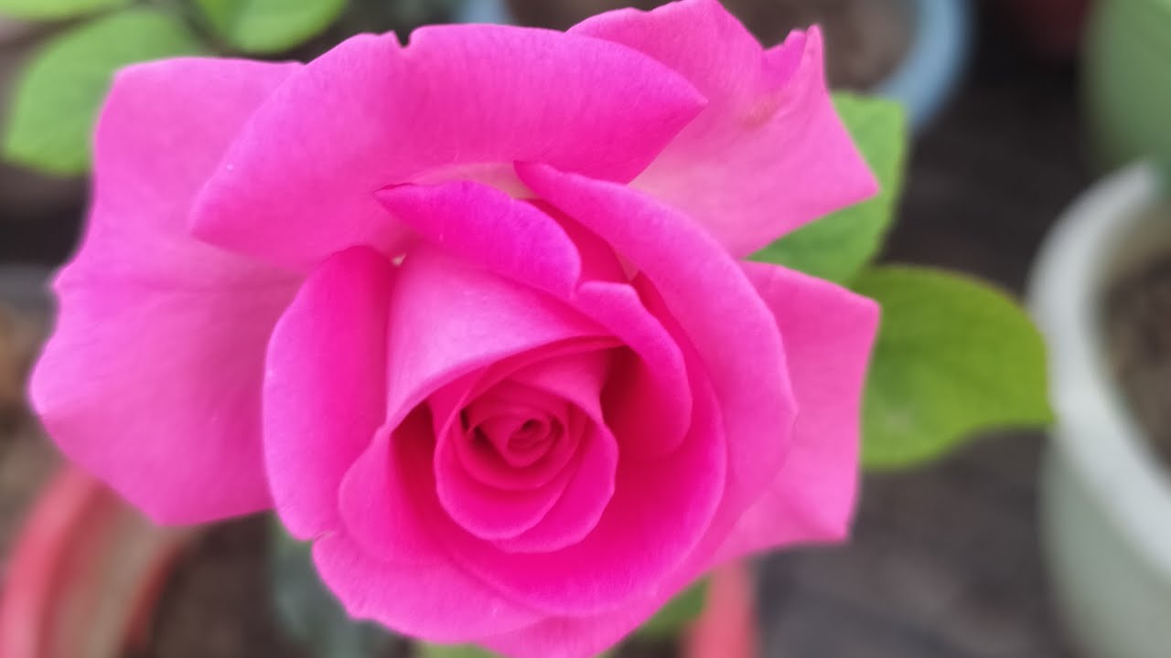 लाइव ओन है जल्दी से आ जाओ #आओ मिलकर कुछ बातें करते हैं