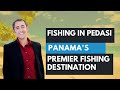 Fishing in Pedasi – Panama’s Premier Fishing Destination