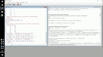 R Video 05 instrução: str(dados)