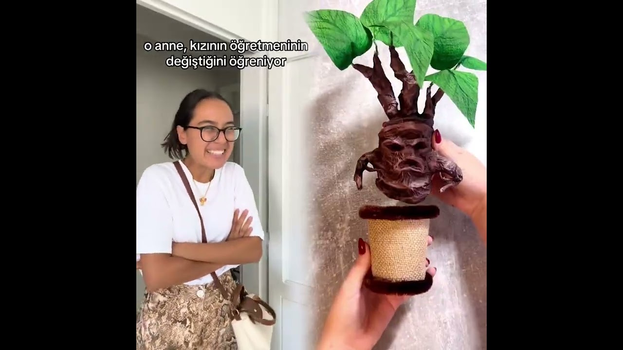 2025 pov Must-Watch Crazy ClipsCompilation 