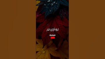 #القران_الكريم #سورة_آل_عمران #اكتب_شيء_تؤجر_عليه #اكسبلور
