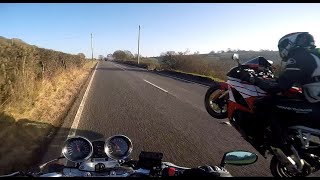 CBR600RR Maxpass Wheelie | Bandit 600