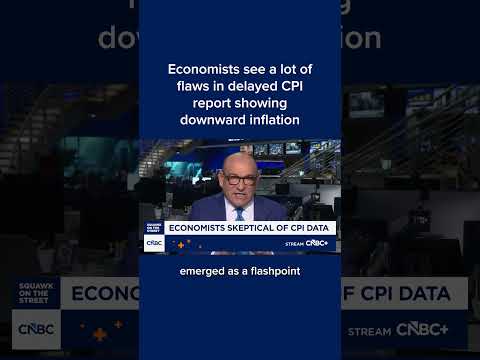 Discussion on Flaws in CPI Report | Steve Liesman