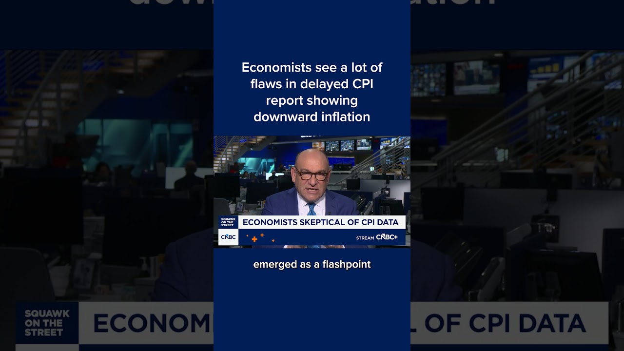 Economists see a lot of flaws in delayed CPI report showing downward inflation