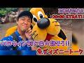 【1時間限定生配信!】いよいよディズニーハロウィン始まるから準備トーク!