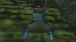 TR2 Venice Turning Swim Corner Bug
