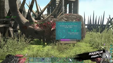 Ark - Primitive Plus - Easy Taming!!!