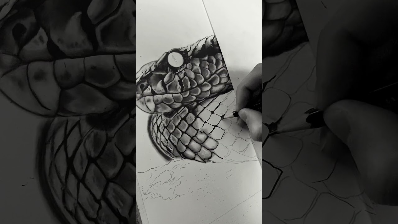 Shadow and Blue 🌑 🔵 