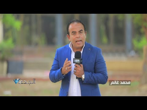 محمد غانم علماء هيئة الطاقة الذرية نجحوا في تربية 5 سلالات من القمح المصري التفاصيل بالفيديو 