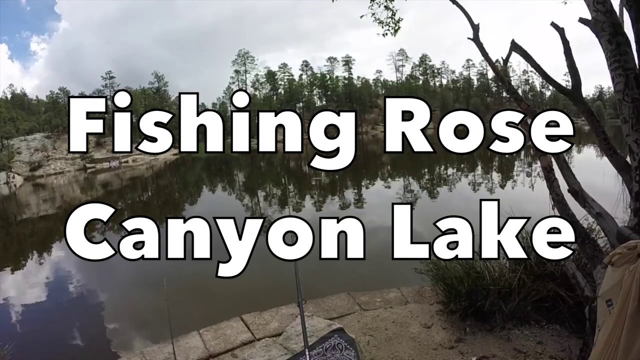 Fishing Rose Canyon Lake Small Trout Catch & Release YouTube