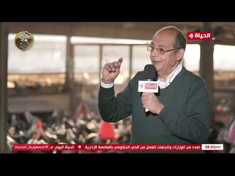 الحياة اليوم داخل مزرعة العزب لإنتاج البيض البلدي والحفاظ على سلالة الدواجن الفيومي النادرة