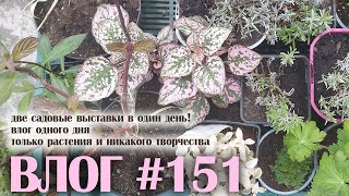 ВЛОГ#151: очень растительный влог одного дня, две садовые выставки в один день