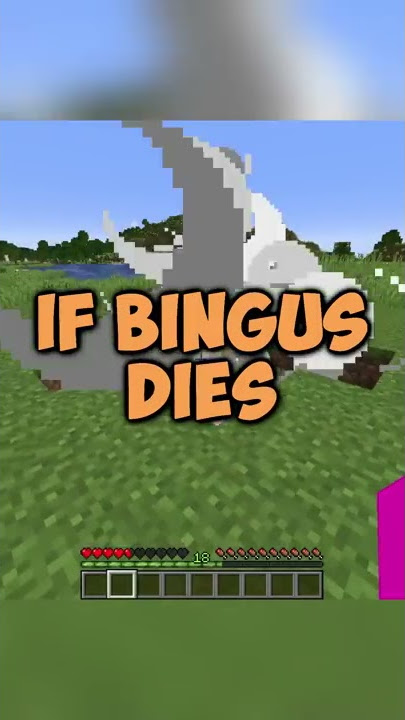 if bingus dies the video ends